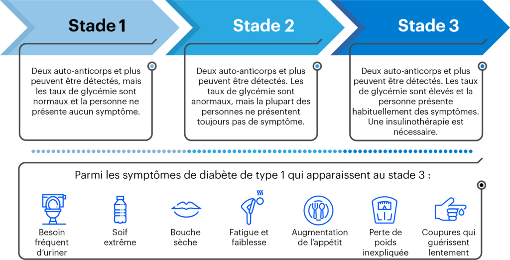 Le DT1 se manifeste en trois stades